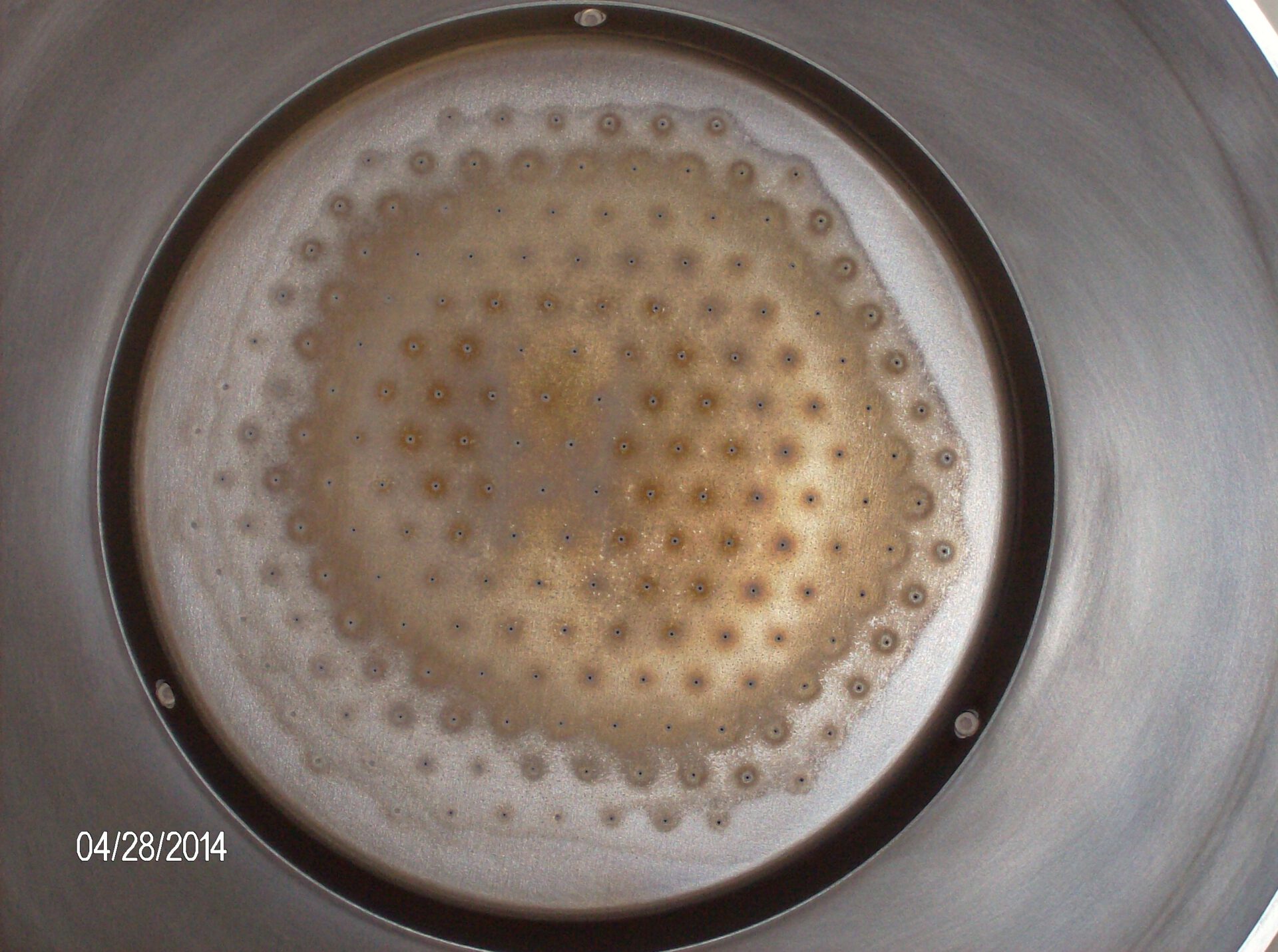 Inside the reactor, close up of the gas shower head